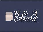 B&A Canine Coaching